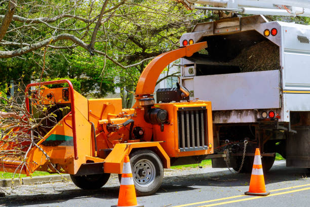 Best Utility Line Clearance  in Lincoln, CA